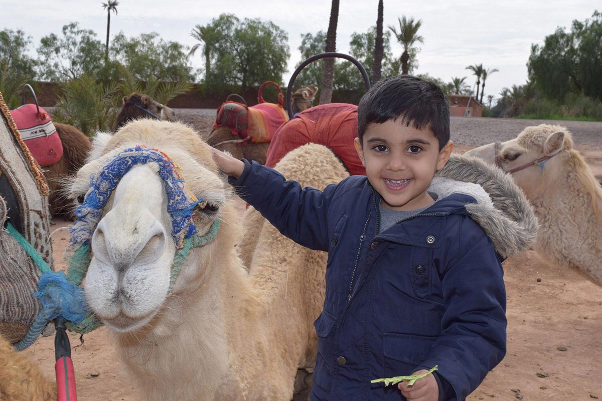 Camel ride