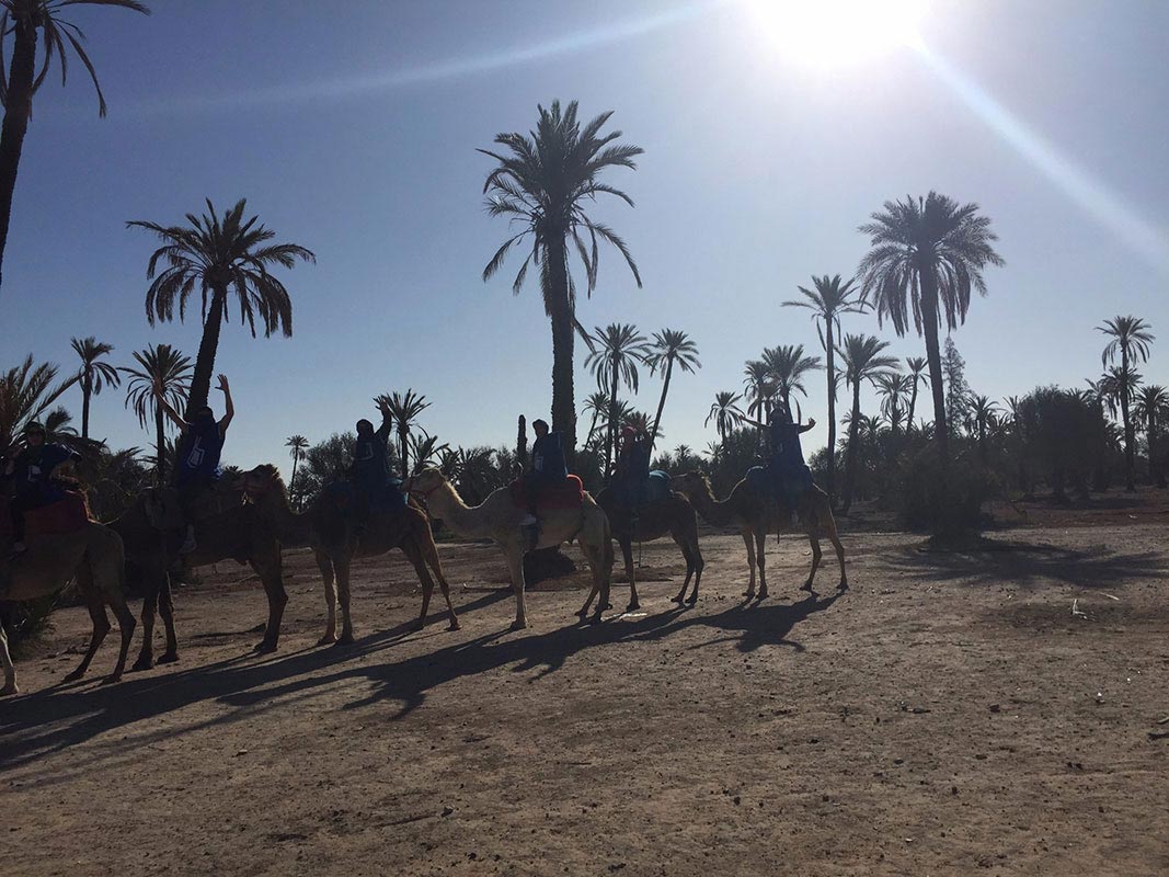 Our crew, on camels